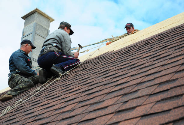 Best Best Roofing Contractors  in Mount Pleasant, MI