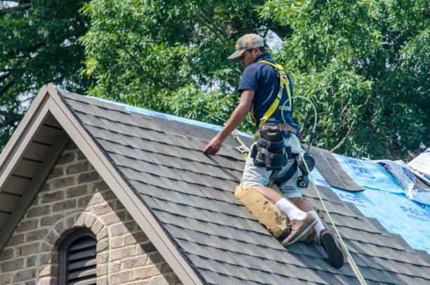 Best Local Roofing Companies  in Mount Pleasant, MI