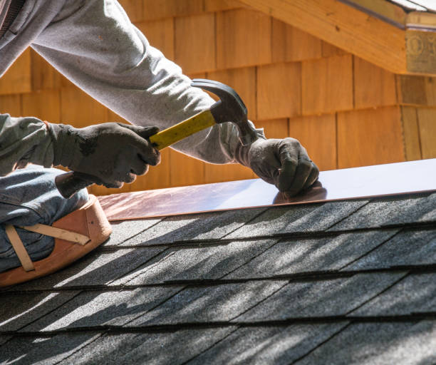 Best Roof Waterproofing Services  in Mount Pleasant, MI